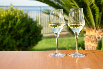 Two glasses of white cold wine on a wooden table in the garden background of the leaves of a palm tree.