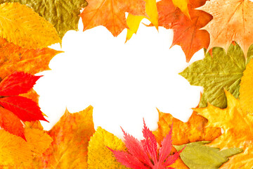 Autumn Leaves Border Isolated On White
