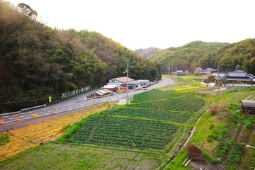 田舎に囲まれた産直と畑