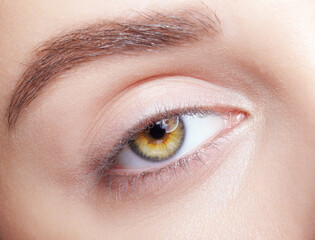 Fototapeta na wymiar Closeup macro shot of human female eye with nude makeup.
