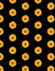 set seamless yellow flower pattern background design vector
