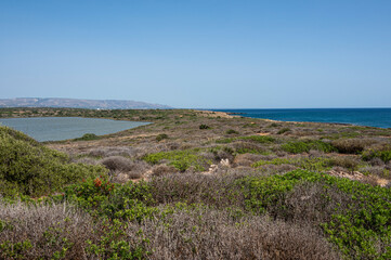 Landscape of the natural oasis of Vendicari