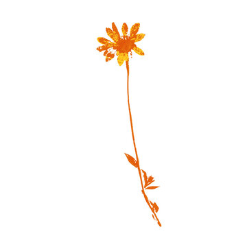 An imprint of a dried flower. A bright autumn flower.