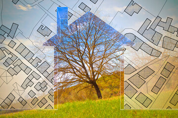 Imaginary cadastral map of territory with buildings, roads and land parcel with an home silhouette and green tree in a field - planning a new home in nature - concept image