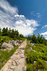 A path for mountain hiking in summer time. Krkonose. Czech Republic.