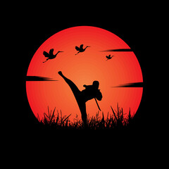 Obraz premium Ninja, Assassin, Samurai training at night on a full moon