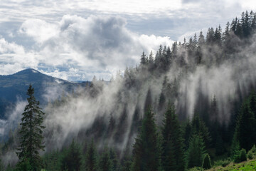 Panorama of forest covered by low clouds. Autumn rain and fog on the mountain hills. Misty fall woodland.