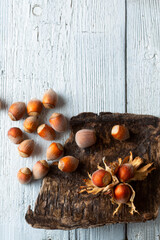 hazelnuts in drops of dew on a tray of bark and old boards. view from above