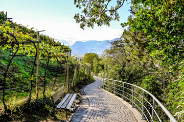 Meran, Weinberge, Spazierweg, Tappeinerweg, Aussicht, Panoramaweg, Dorf Tirol, Altstadt, Vinschgau, Etschtal, Südtirol, Herbst, Herbstsonne, Italien