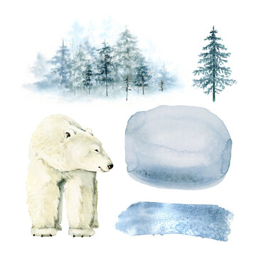 watercolor set with polar bear, winter backgrounds, nature and forest.