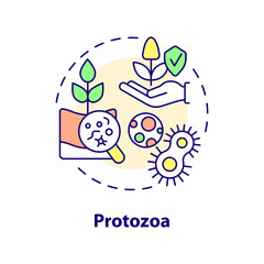 Protozoa concept icon. Agricultural microbiology abstract idea thin line illustration. Soil environment. Isolated outline drawing