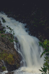waterfall in the forest