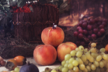 still life with fruits