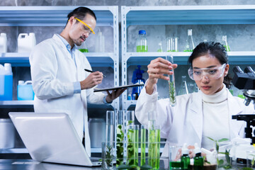 Researchers test biofuels as an alternative fuel of the future, natural biofuels reduce pollution...