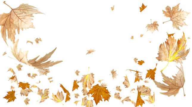 leaves autumn background space for your text in the center