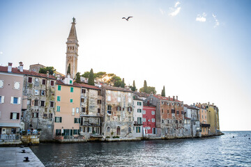 Fototapeta premium old, historic buildings of the historic old town of Rovinj from the sea at sunset
