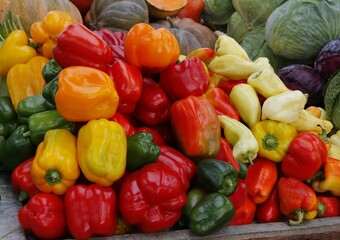 multicolor various vegetables as wholesome vegetarian food 