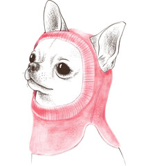 Cute Dog character. Pet portrait. Outline Dog portrait. Dog breeds portraits. PNG Chihuahua portrait.