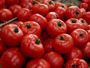 red,black and yellow tomatoes for salad or cooking meals