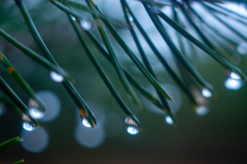 water drops on a glass