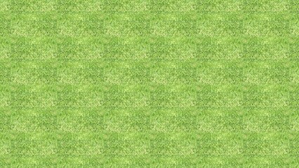 4K ULTRA HD. Green grass background texture. 3d rendering. 