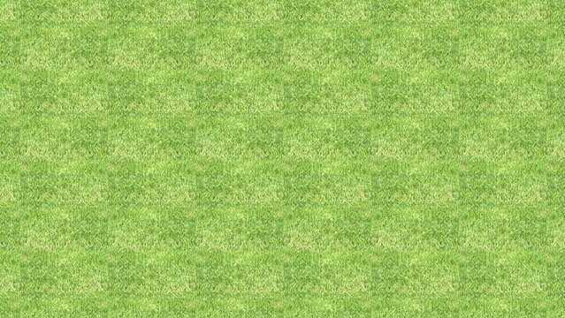 4K ULTRA HD. Green grass background texture. 3d rendering. 