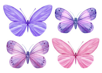 Fototapeta na wymiar Butterflies set isolated on a white background. Watercolor Illustration for your design. Purple and pink butterfly