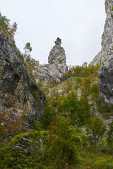 Rocky mountains landscape