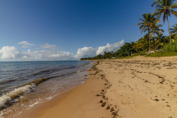 natural landscape in the district of Arraial D'Ajuda, city of Porto Seguro, State of Bahia, Brazil