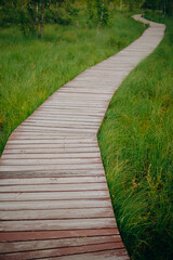 wooden path in the park