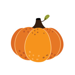 Hand drawn pumpkin isolated in white. Autumn vegetable in cartoon style. Autumn harvest and thanksgiving clipart. Vector illustration