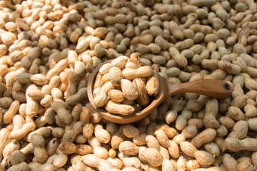 Raw peanuts in a big wooden spoon on peanuts background with the sunshine.