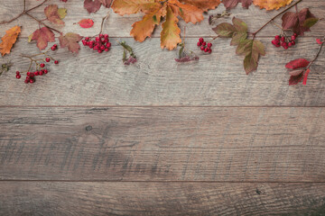 Branch with autumn dry oak leaves on rustic wooden background. Top view, flat lay.