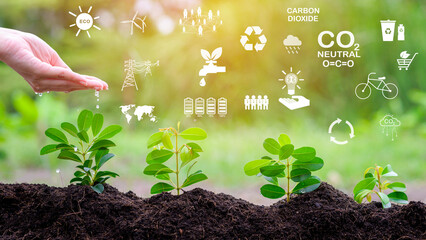 Close up hand with water dripping on plant on fertile soils, Ecological conservation concept