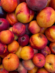 Fototapeta na wymiar Many tasty fresh ripe red yellow nectarine peaches on farmers market shop directly above view