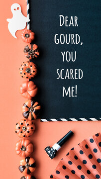 Cute Halloween vertical background, template for social media stories. Black cats, painted deco pumpkins with polka dots. Orange black flat lay background, greeting caption Dear Gourd you scared me.