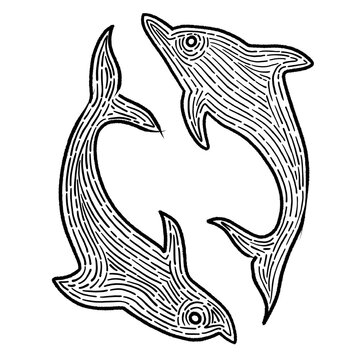 silhouette of a fish, lined design