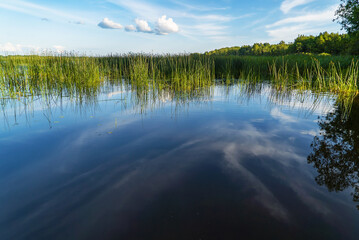 Clouds are reflected in the water surface . Lake Vrevo . Alexandrovka. Leningrad region.