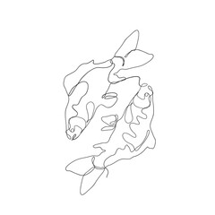 continuous line drawing fish illustration vector