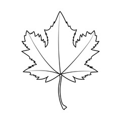 Maple leaf with black outline. Coloring page. Vector illustration, flat design