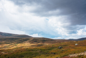 Motley autumn landscape with sunlit high mountain plateau under dramatic sky. Fading autumn colors in mountains. Hills in sunlight and shadows of clouds in changeable weather. Overcast in mountains.