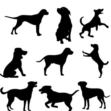 set of dogs silhouettes,dog silhouettes vector