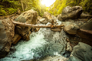 Woman sitting on wooden trunk above mountain river