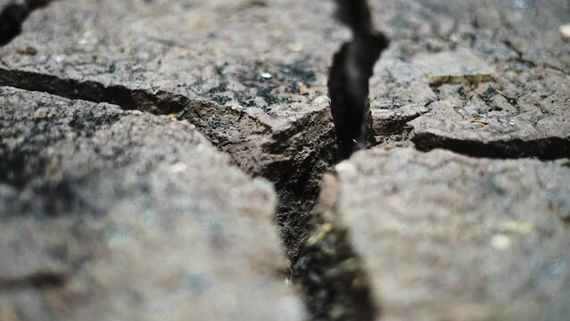 soil cracked by thirst. global warming predictor.