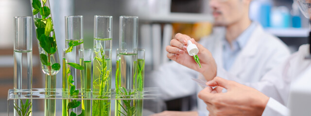 Close up look of an eco test tube or glassware and Scientist is droping and testing a result of natural product and organic cosmetic health care. Concept banner background for eco laboratory.