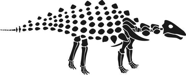 Silvisaurus Dinosaur skeleton Prehistoric Animal. Vector illustration © Mykola Syvak