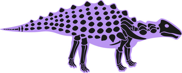 Silvisaurus Dinosaur skeleton Prehistoric Animal. Vector illustration © Mykola Syvak