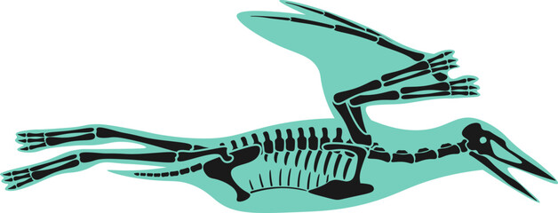 Pterodactyl Dinosaur skeleton Prehistoric Animal. Vector illustration © Mykola Syvak