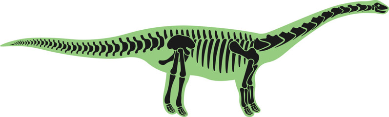 Lirainosaurus Dinosaur skeleton Prehistoric Animal. Vector illustration © Mykola Syvak