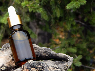 A brown bottle of cosmetic oil with a white cap is located on an old wooden branch against the backdrop of a coniferous tree. Body care concept.
